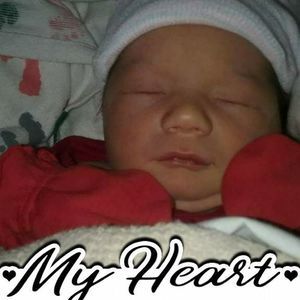 Meet your Posher, Preston